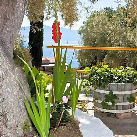 Valedina Agios Petros (Arcadia)